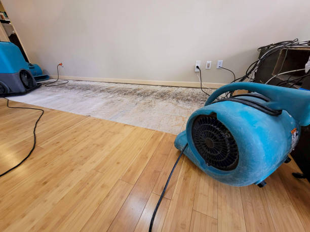 Reliable Basement Flood Cleanup contractor in Logan, WV by Hirex Water Damage