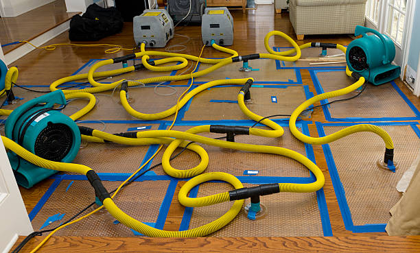 Professional Basement Flood Cleanup technician working in Logan, WV