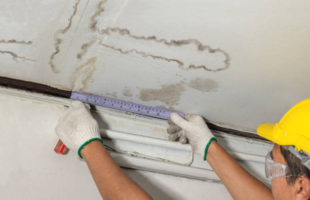 Affordable Water Damage Repair solutions in Logan, WV